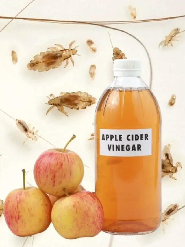 A Guide On Removing Parasites With Apple Cider Vinegar
