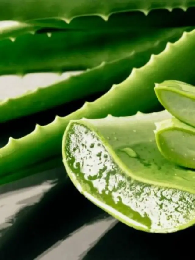 Fruit Of The Earth Aloe Vera Gel – A Complete Guide To Its Benefits