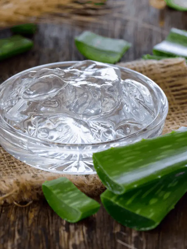 Does The Magic Wear Off When Aloe Vera Gel Expires?
