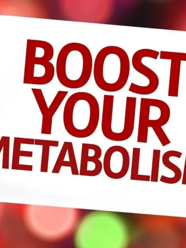 A Guide On The Pro Metabolic Diet