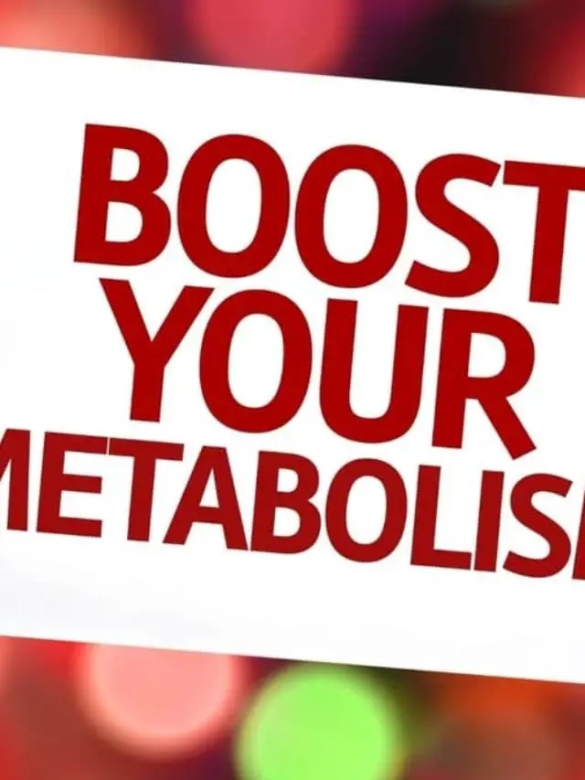 A Guide On The Pro Metabolic Diet