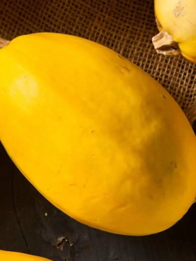 What Does A Ripe Spaghetti Squash Look Like? Read Now!