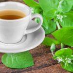 Chickweed Tea For Weight Loss
